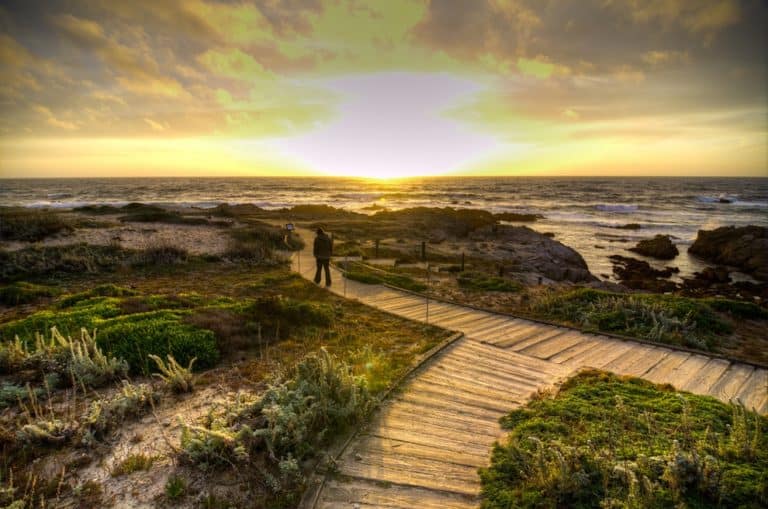 15 Best Things to Do in Salinas (CA) The Crazy Tourist