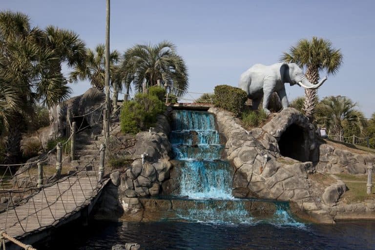 25 Best Things to Do in Dothan (AL) The Crazy Tourist