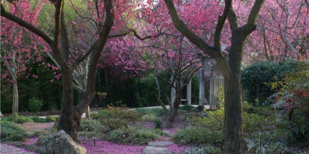 Shinzen Friendship Garden