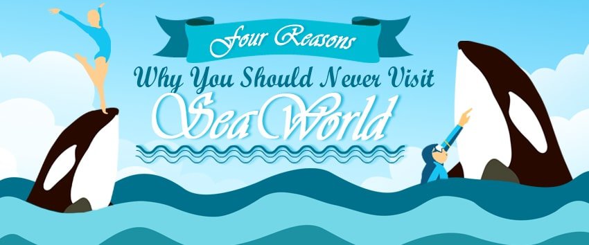SeaWorldにアクセスしてはいけない4つの理由！
