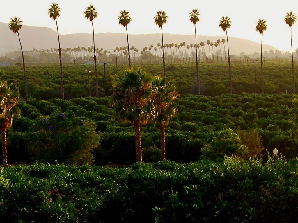 Parque histórico estatal de cítricos de California