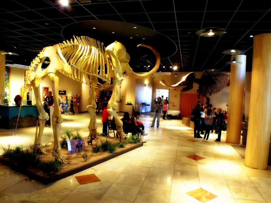 Arizona Museum of Natural History
