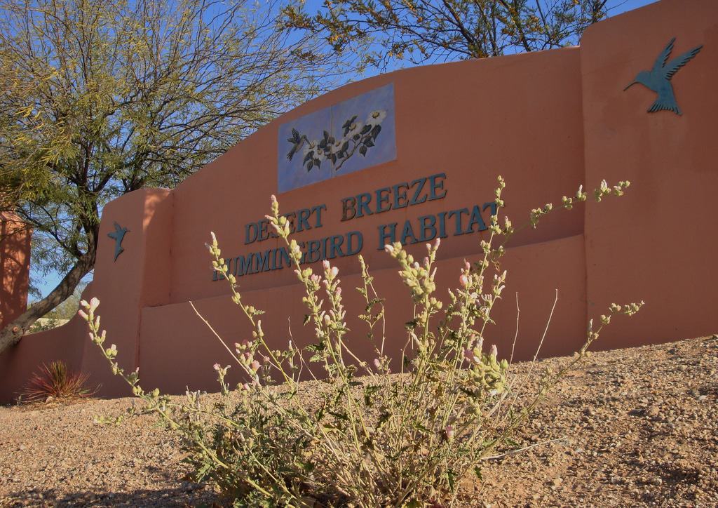 Desert Breeze Park