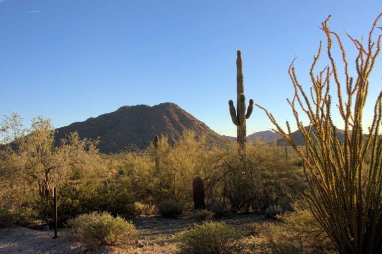 25 Best Things To Do In Chandler (AZ) The Crazy Tourist