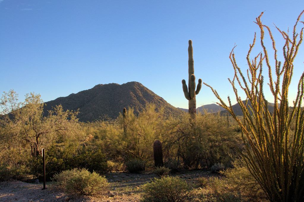 San Tan Mountain Regional Park