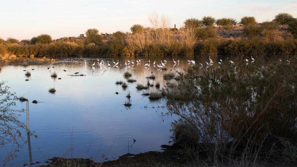 Veterans Oasis Park