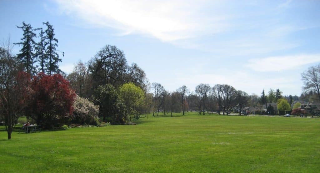 Bush’s Pasture Park