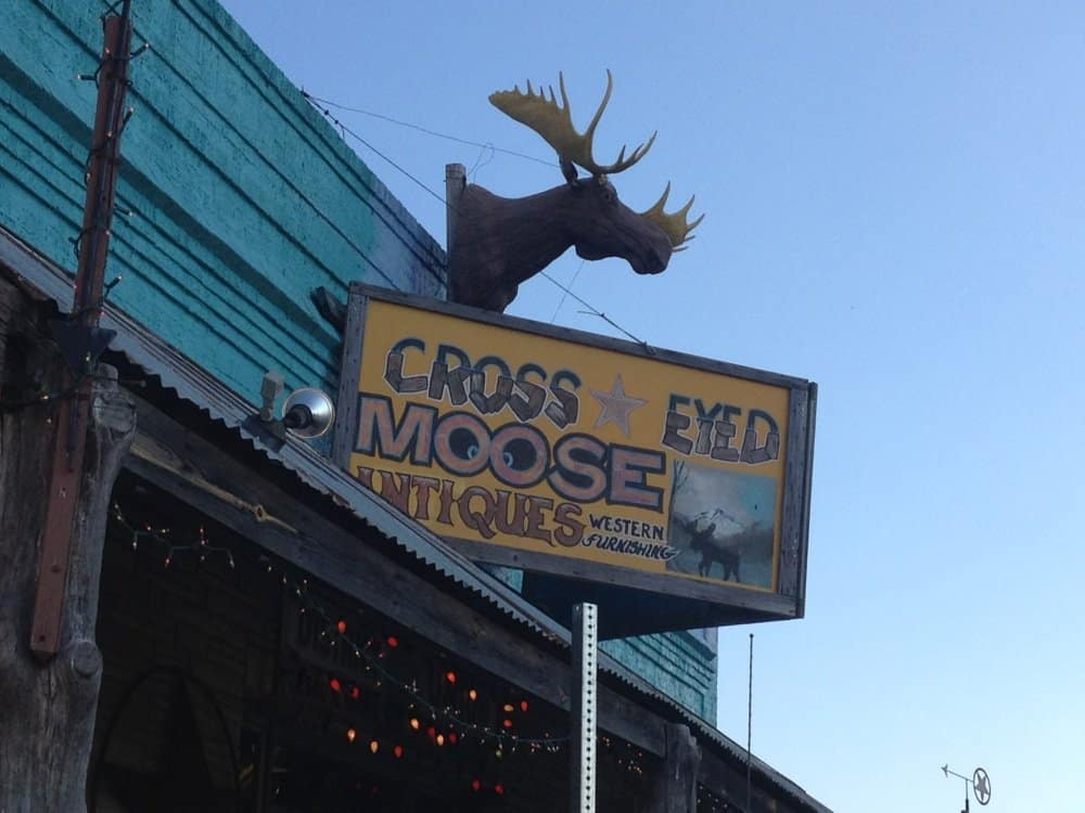 Cross-Eyed Moose Antique