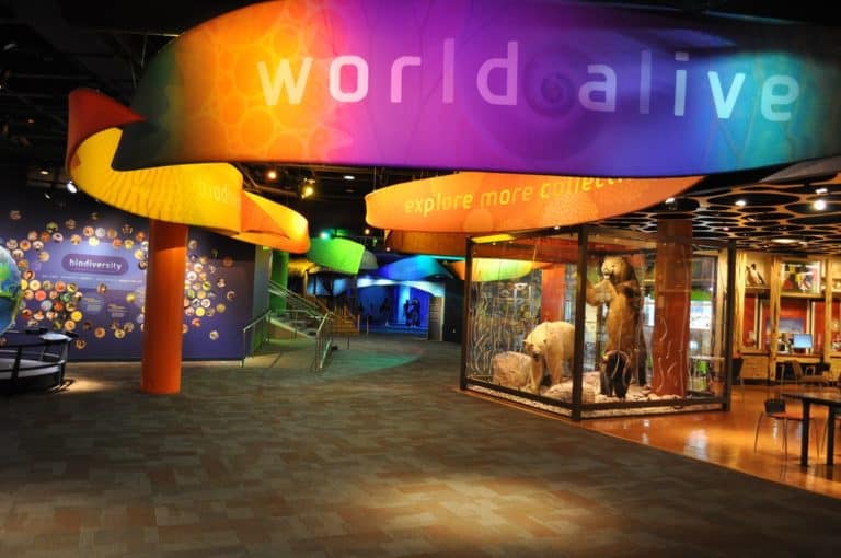 25 Best Things to Do in Charlotte (NC) The Crazy Tourist