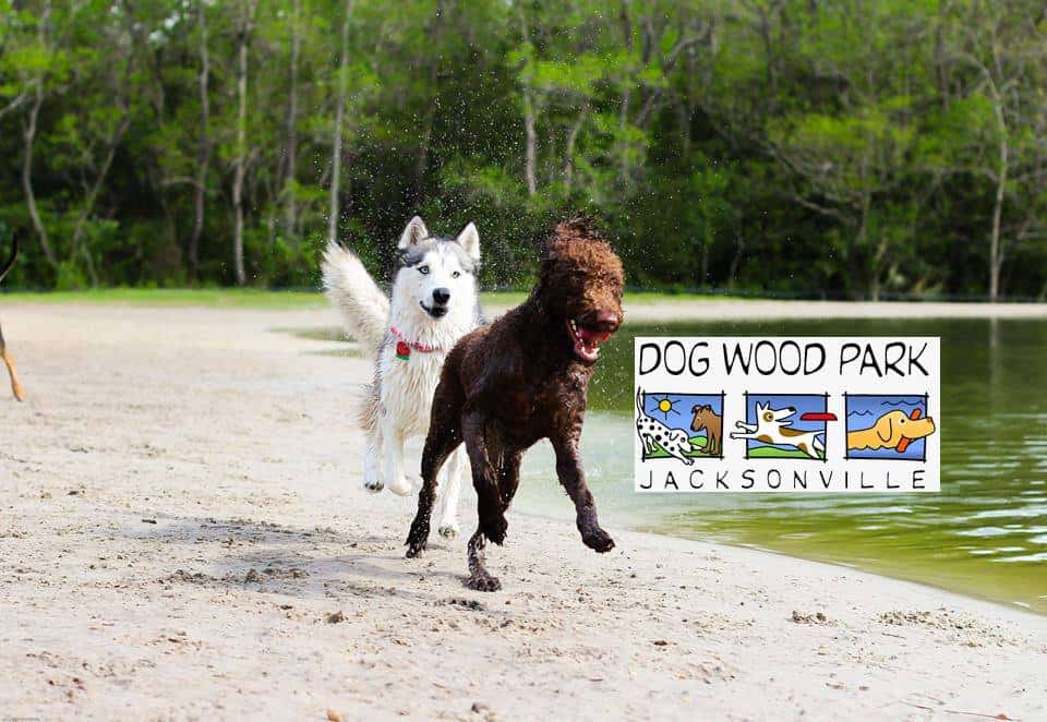 Dog Wood Park, Jacksonville