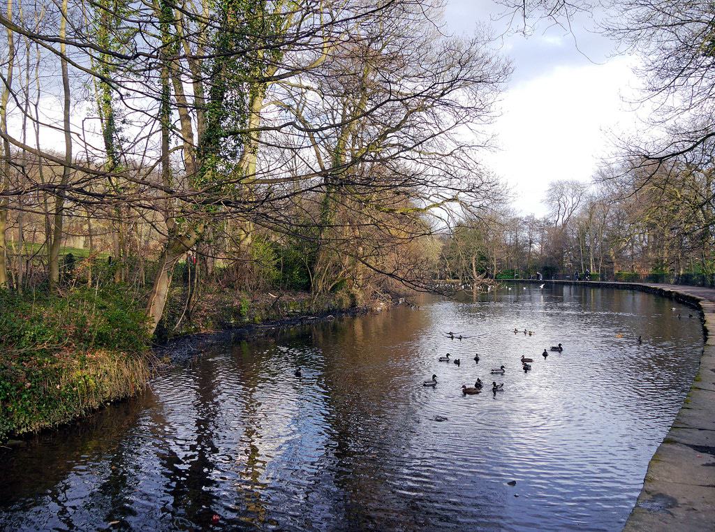 Parque Endcliffe