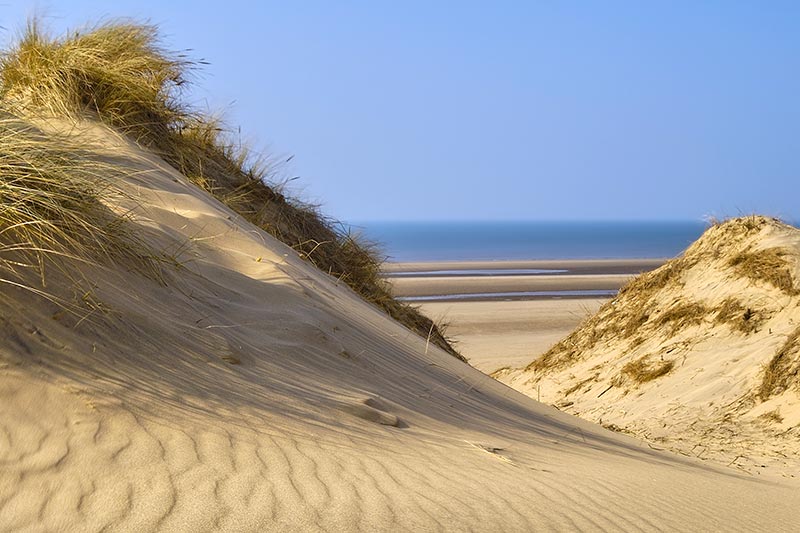 Formby Coast and Nature Reserve