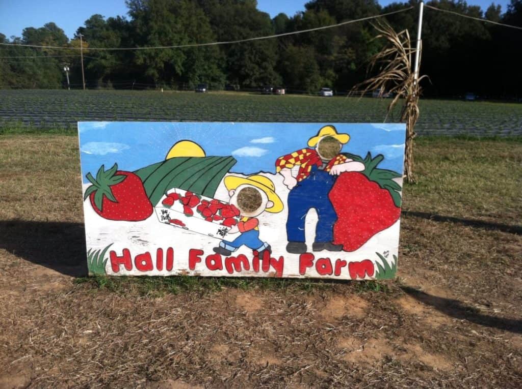Hall Family Farm