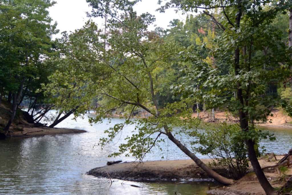 McDowell Nature Center and Preserve