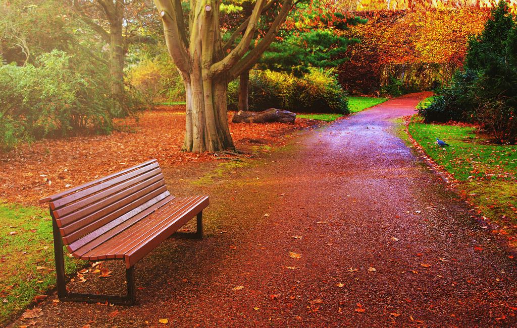 Royal Botanic Garden
