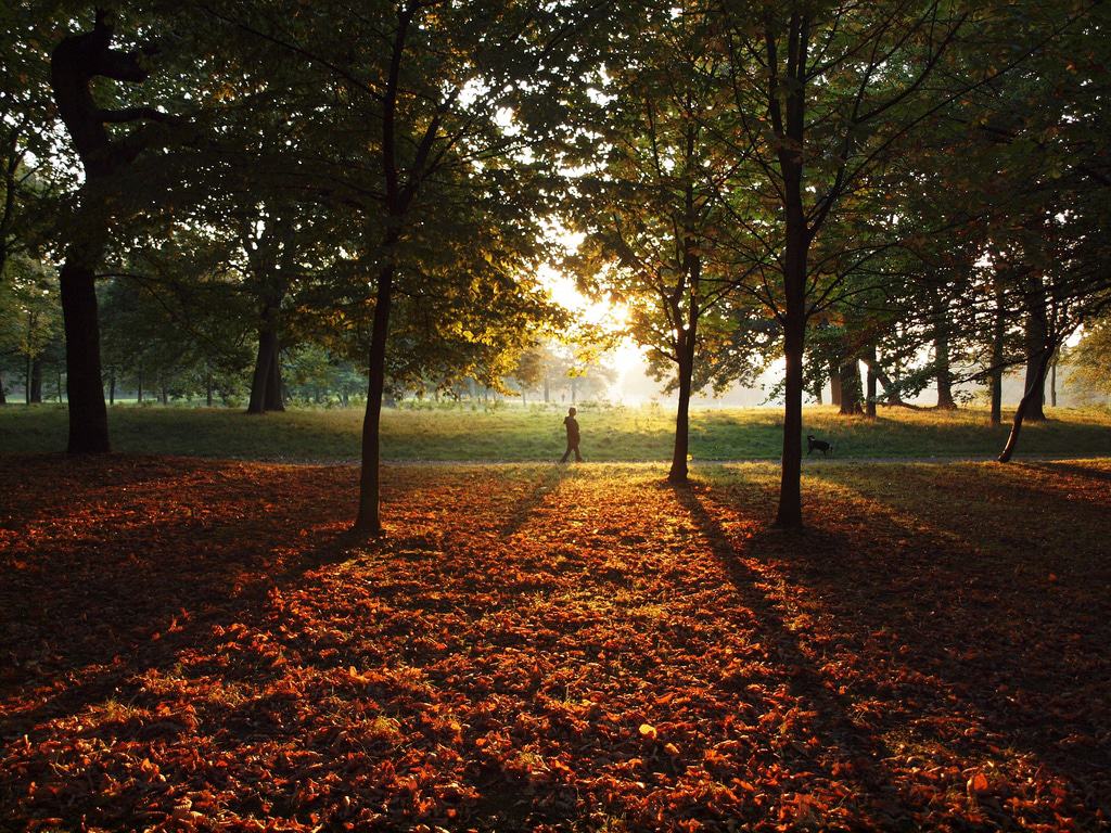 Sefton Park