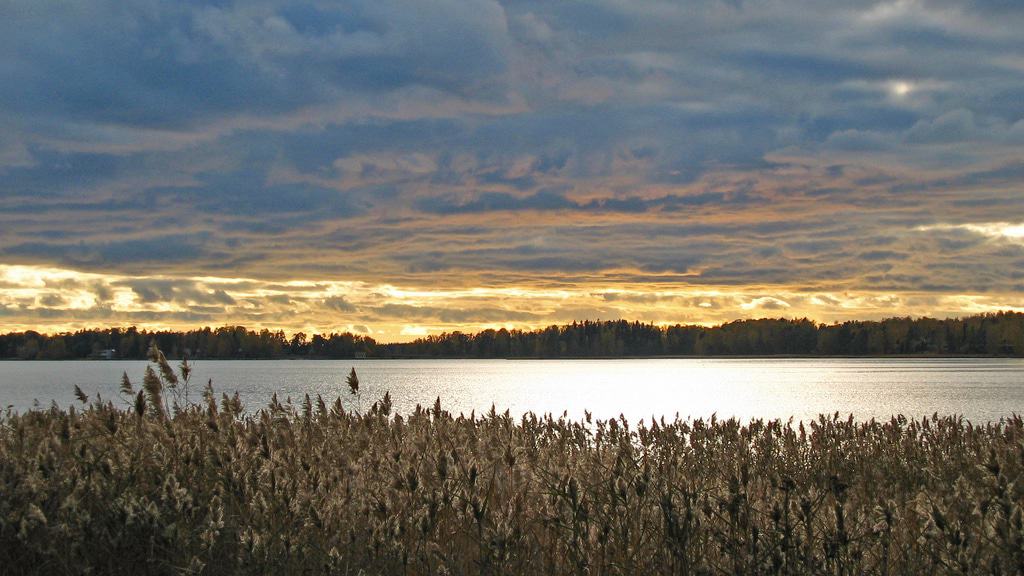 Seurasaari