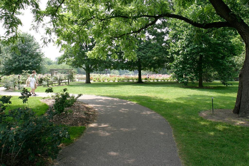 Whetstone Park