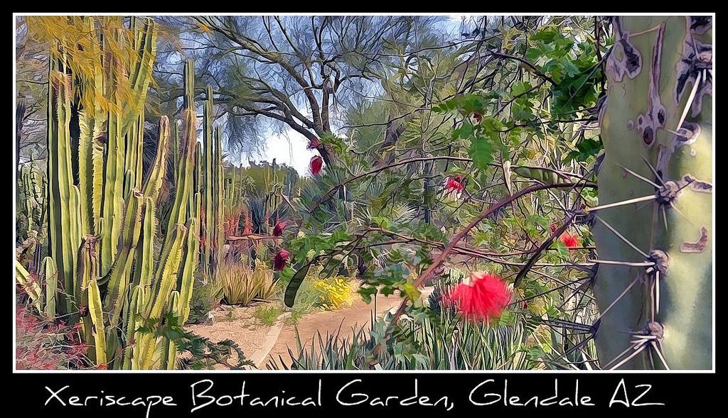 Jardín Botánico Xeriscape Glendale