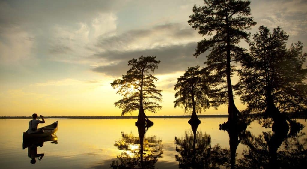Lake Drummond - Great Dismal Swamp National Wildlife Refuge