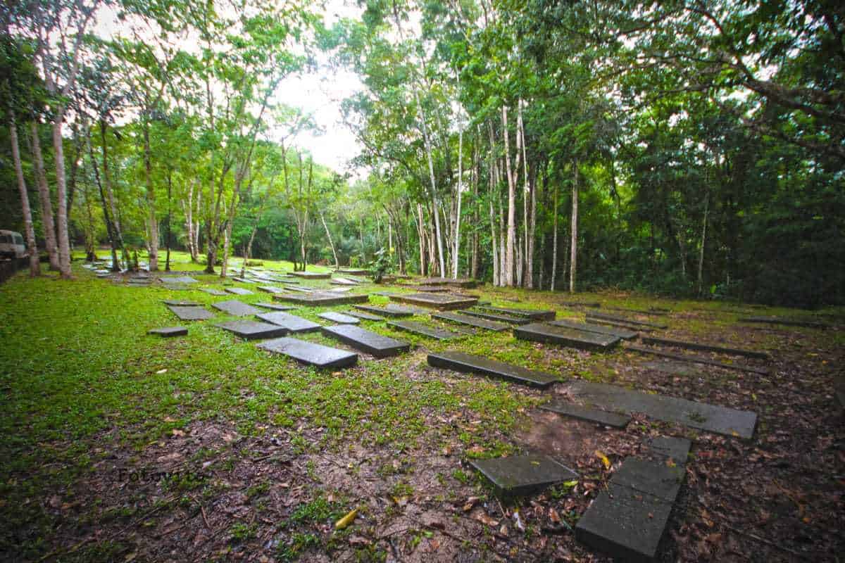 15 Best Places to Visit in Suriname The Crazy Tourist