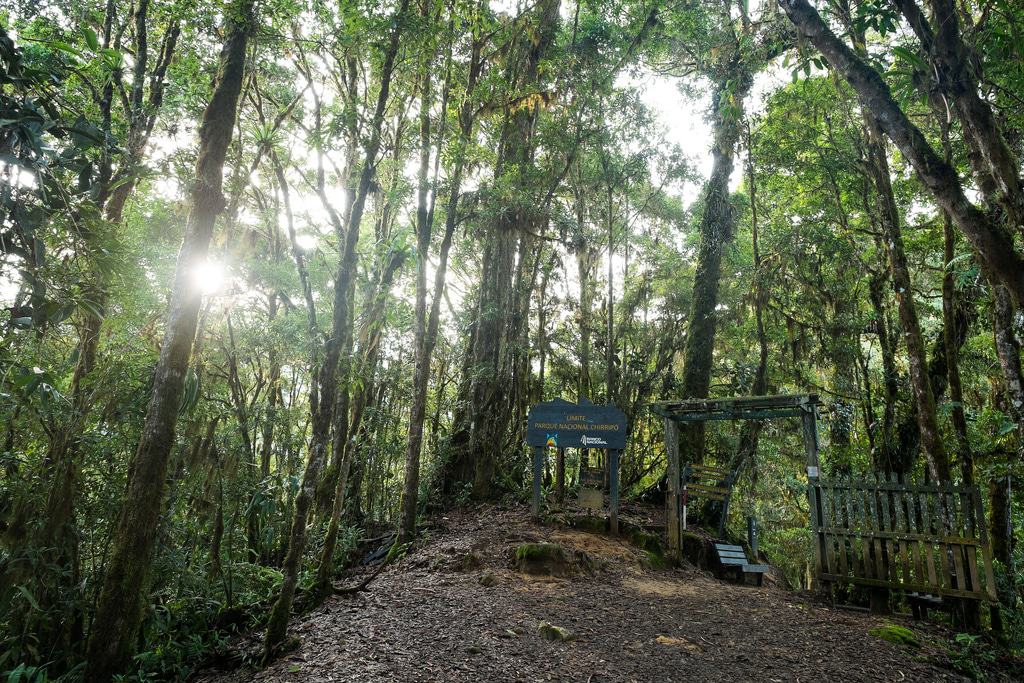 Chirripó National Park