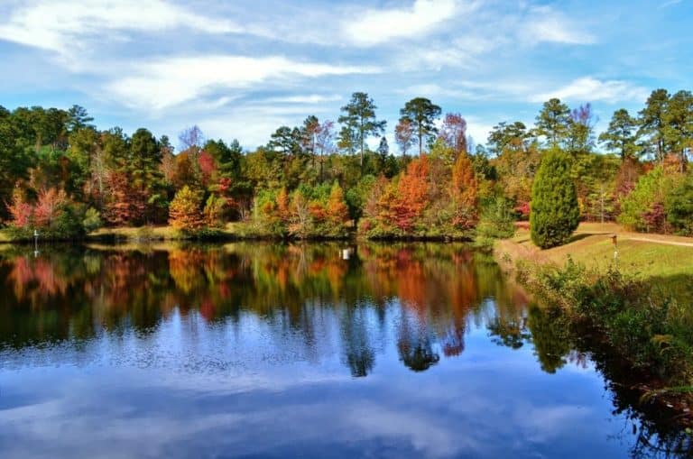 25 Best Things to Do in Raleigh (North Carolina) The Crazy Tourist