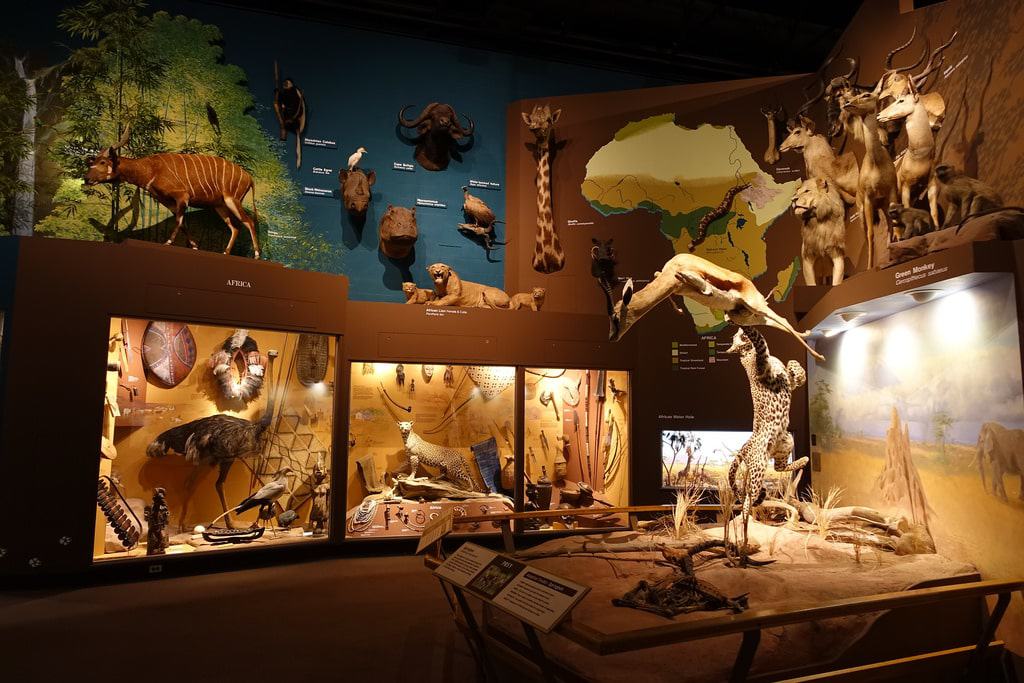 Cleveland Museum of Natural History