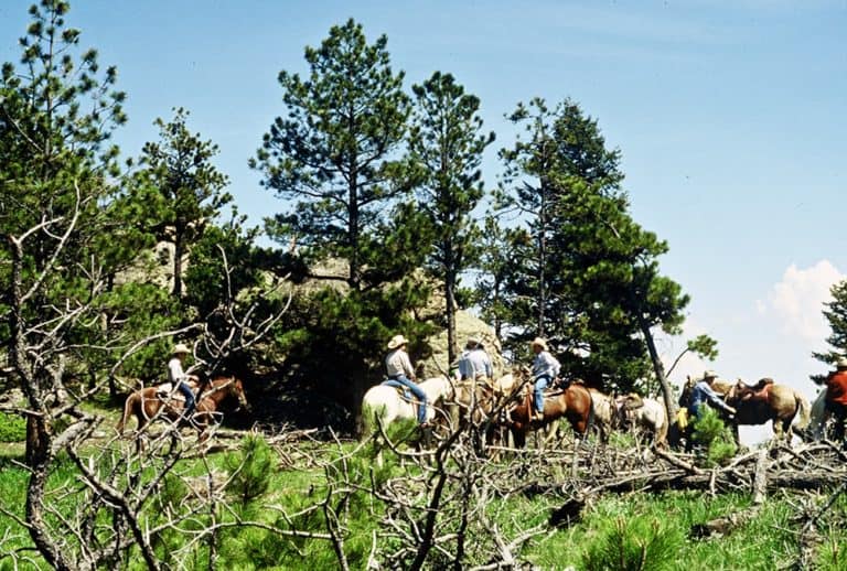 15 Best Things to Do in Fort Collins (Colorado) The Crazy Tourist