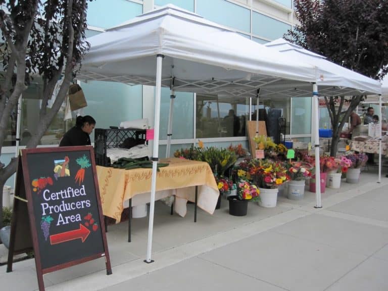 15 Best Things to Do in Salinas (CA) The Crazy Tourist