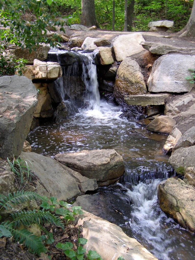 Bog Garden in Benjamin Park