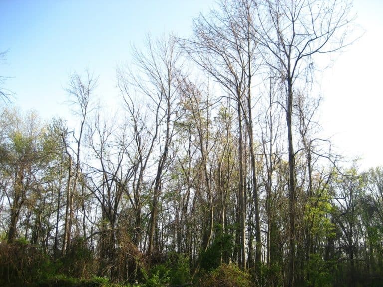 15 Best Things to Do in Edison (NJ) The Crazy Tourist