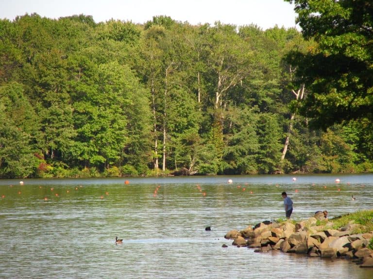 15 Best Lakes in New Jersey The Crazy Tourist
