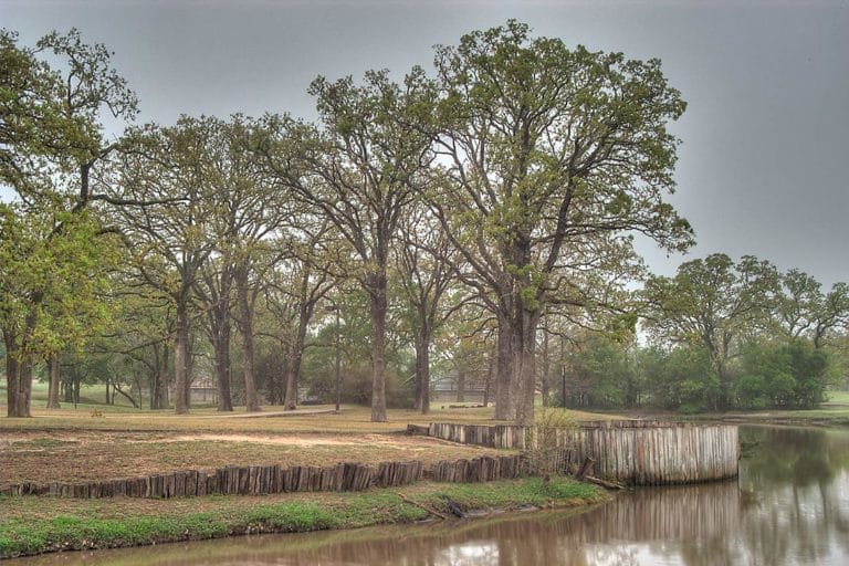 15 Best Things to Do in College Station (TX) The Crazy Tourist