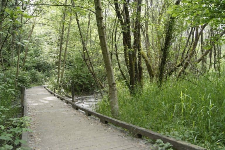 15 Best Things to Do in Gresham (Oregon) The Crazy Tourist