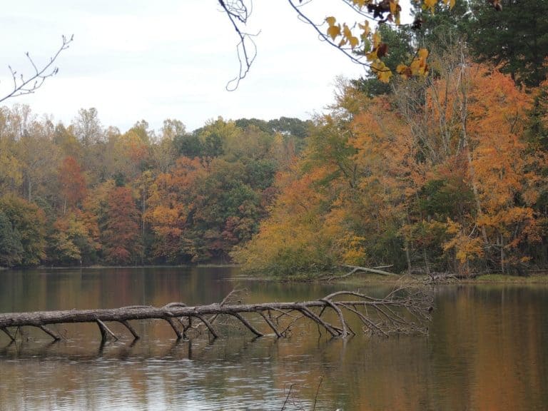 15 Best Things to Do in High Point (NC) The Crazy Tourist