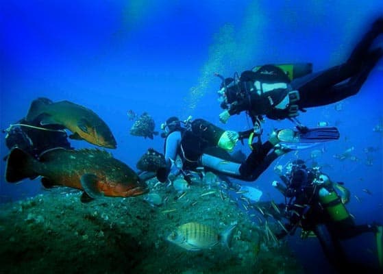 Diving