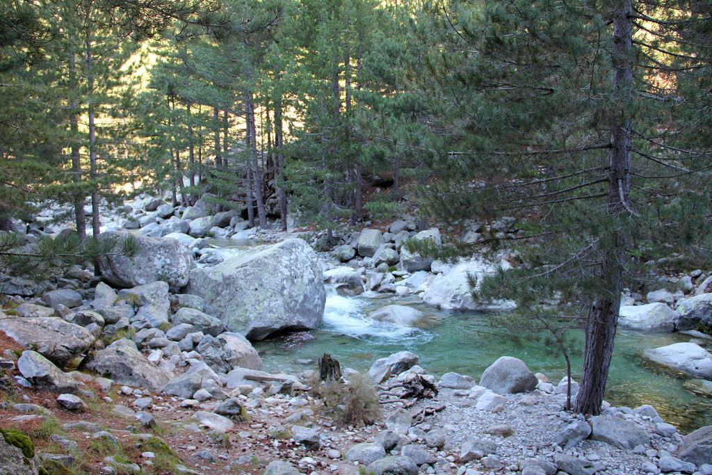 Gorges de la Restonica