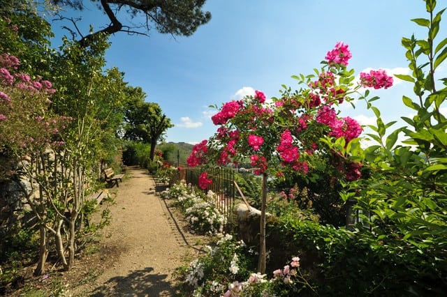 Jardin d'Eden, Tournon-sur-Rhône