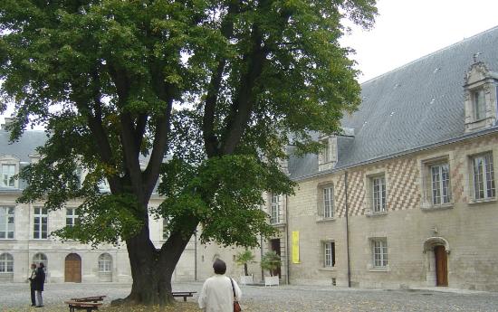 Musée d'Art Moderne de Troyes
