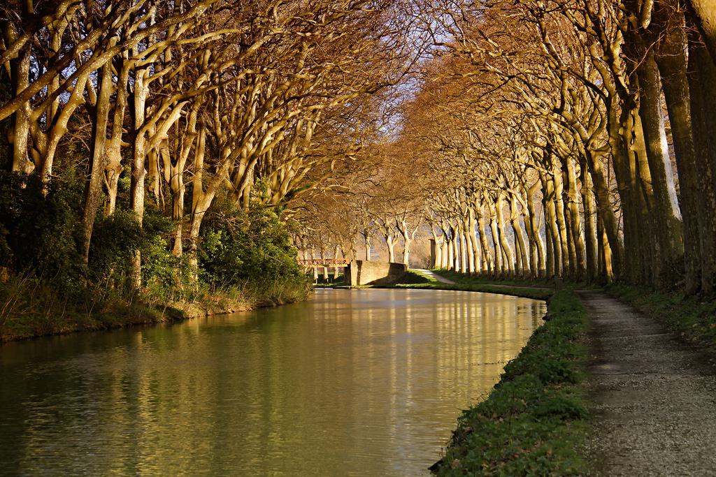 Canal du Midi