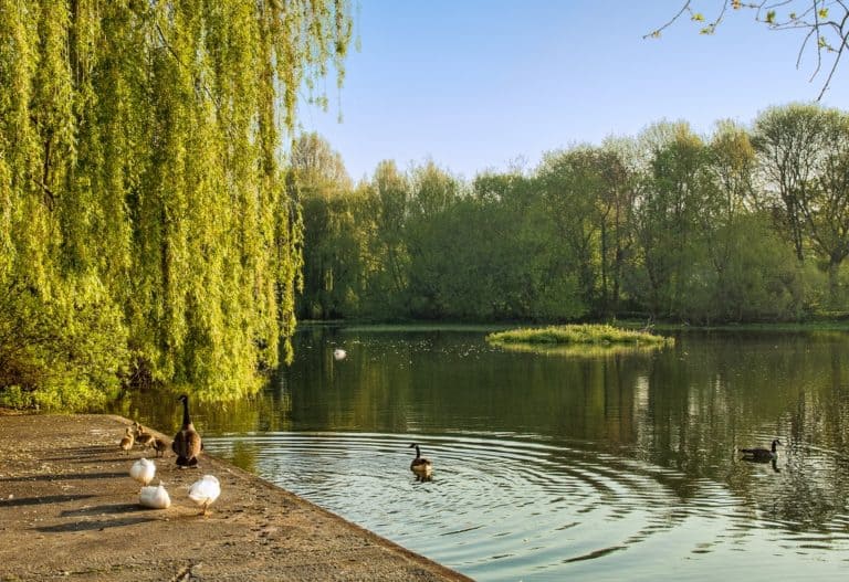 15 Best Places to Visit in Hampshire The Crazy Tourist