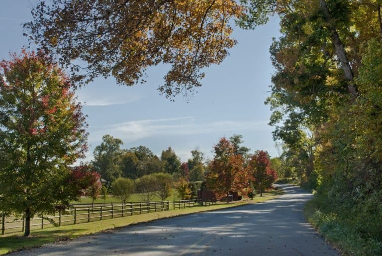 Discover the TOP 15 SMALL TOWNS in Arkansas