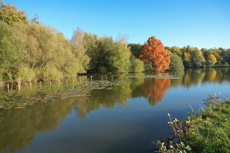 15 Best Things to Do in Rennes (France) The Crazy Tourist