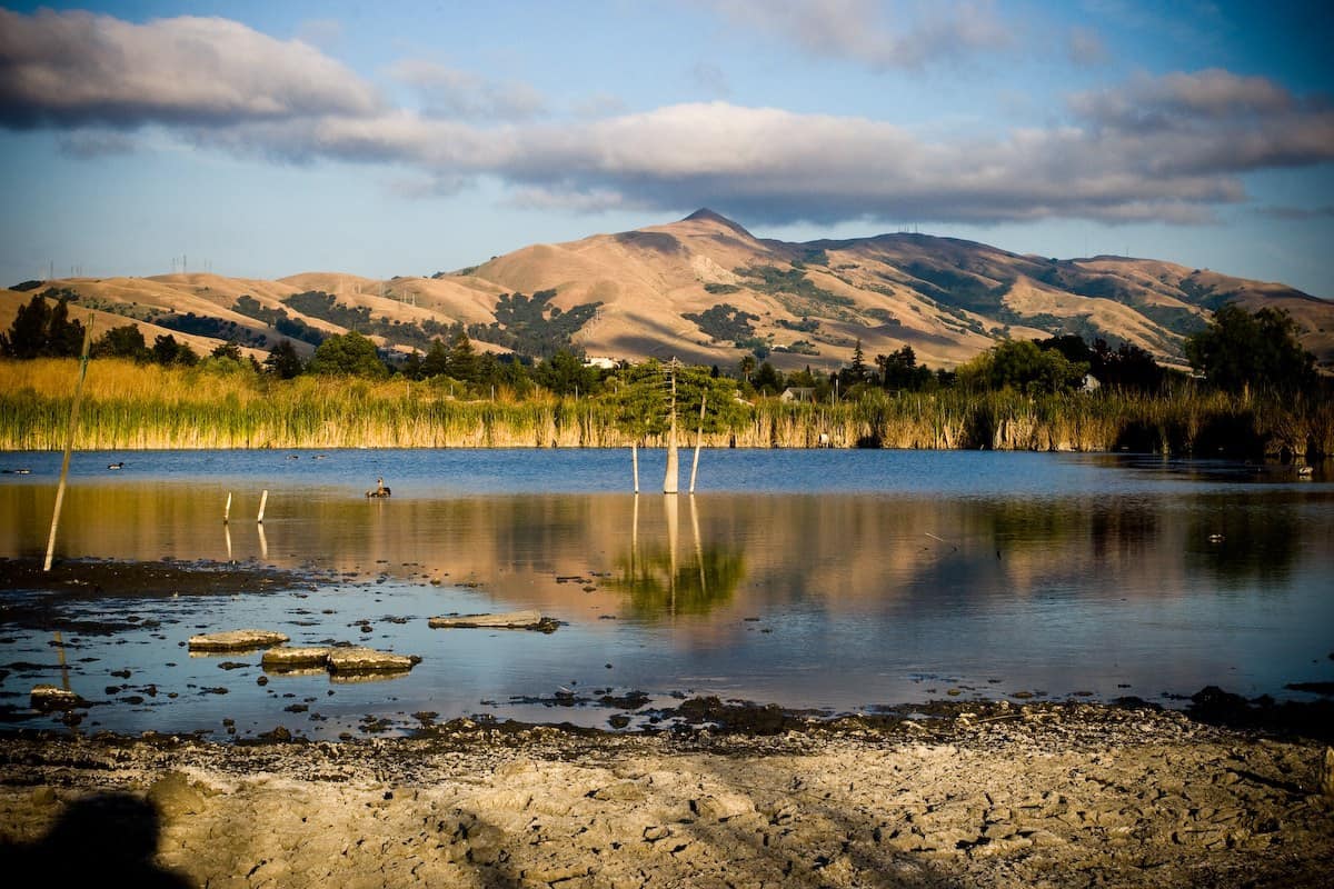 pulte homes fremont ca