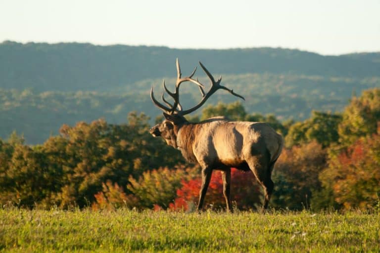 23 Hidden Gems in Pennsylvania The Crazy Tourist