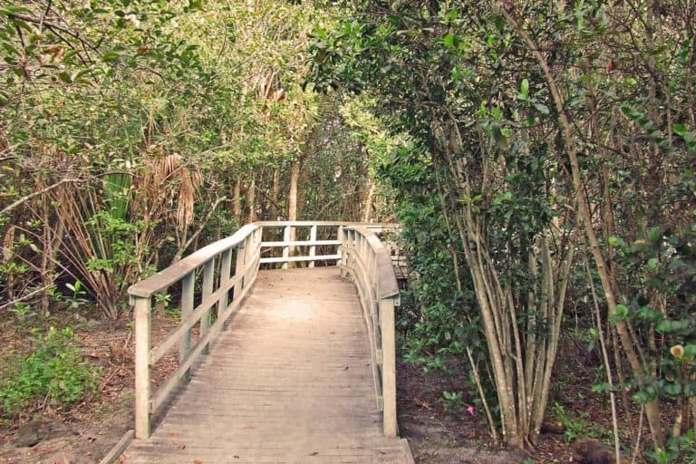 30 Amazing Hidden Gems in Florida The Crazy Tourist