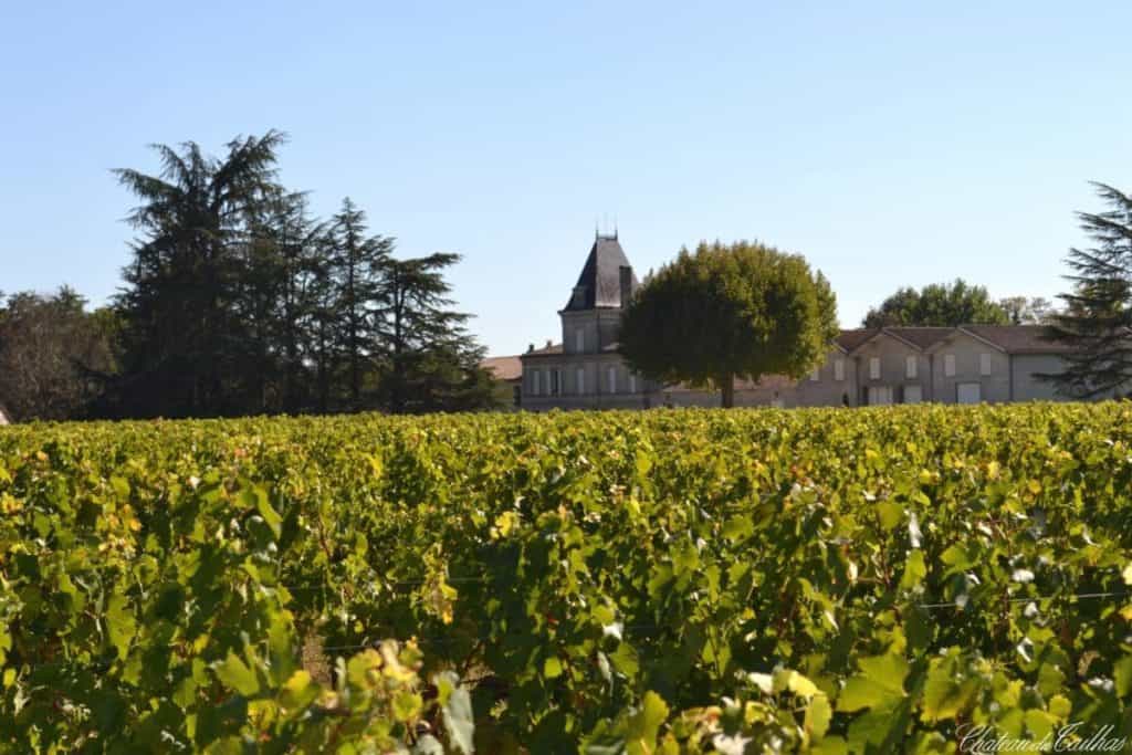 Château du Tailhas