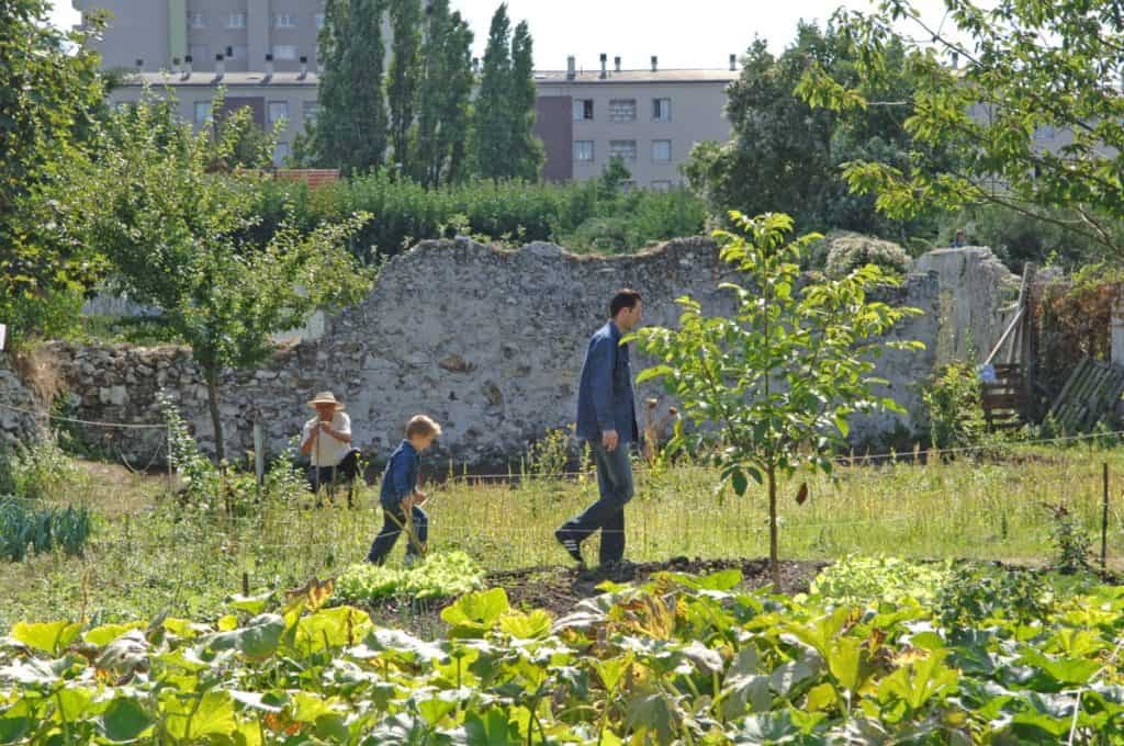 Murs à Pêches