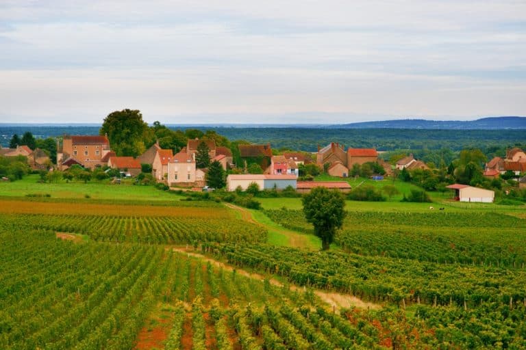 15 mejores cosas para hacer en ChalonsurSaône (Francia) ️Todo sobre viajes ️ 15 mejores cosas para hacer en ChalonsurSaône (Francia) ️Todo sobre viajes ️